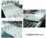 BYB 60C Automatic tray arranging machine