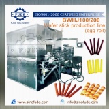 BWHJ100 Wafer stick production line